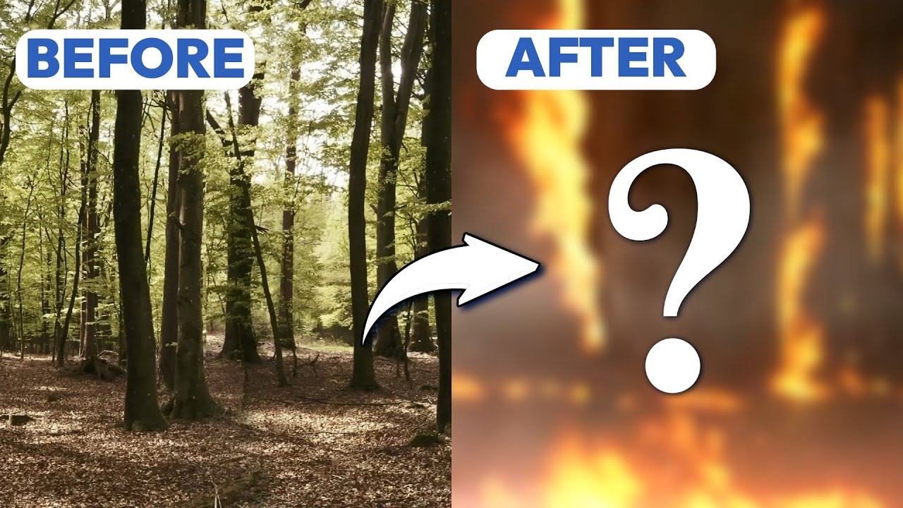 VFX - Nature Art - Forest Fire With Sound - Incredimate
