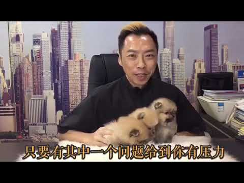 【威廉小贴士】小幼犬注意事项