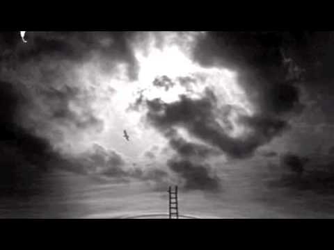 OREN MC 2011 VEDO NERO