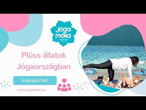 Plüss állatok Jógaországban