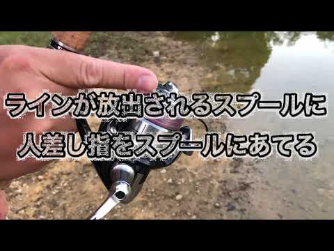 スピニングのサミングのやり方！フェザリングで指が届かない人必見 | 釣りろん