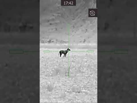 AGM Global Vision Thermal Scope Rattler TS50 640 Compact Long Range Thermal Imaging Riflescope, Amaz