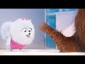 Sky Broadband The Secret Life Of Pets Gidget S Pop Party Short Ad 2016