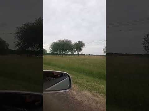 puerto Tirol resistencia chaco