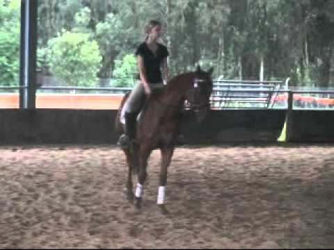 Nothing Leica Smile- Unraced tb mare--SOLD