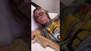 Girl pretends to fall asleep to see what her Bearded Dragon will do...