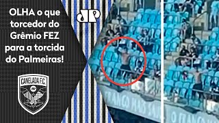 ‘Que palhaçada, isso é crime’: Olha o gesto que torcedor do Grêmio fez para a torcida do Palmeiras