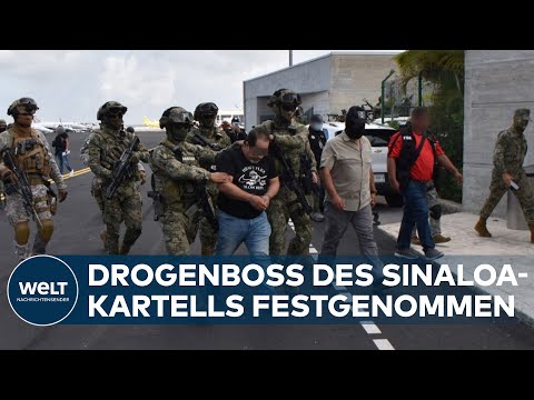 "DER PANTHER": Auftragsmorde in Cancun! Mexikanischer Drogenboss des Sinaloa-Kartells festgenommen