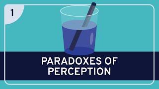 PHILOSOPHY - Metaphysics: Paradoxes of Perception [HD]