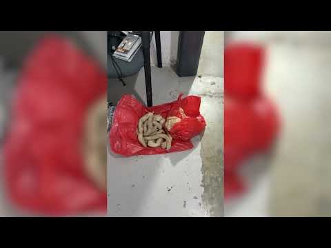 Inpec detecta nueva modalidad de ingreso de elementos prohibidos a cárcel de La Dorada, Caldas