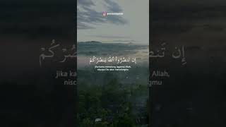 Download lagu Ibrahim Elhaq | Best Voice Quran Recitation | #shorts mp3
