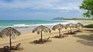 The Pura Vida House