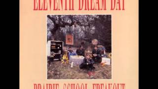 Eleventh Dream Day - Tarantula (1988)