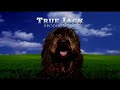 DLC True Jack Productions Imagine Television Universal Content Productions 2010 2019