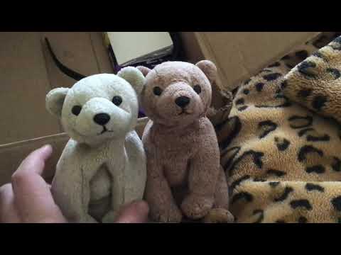 💖🐺Webkinz Signature Timber Wolf unboxing + extra’s from Timberwolf.476😃🌈