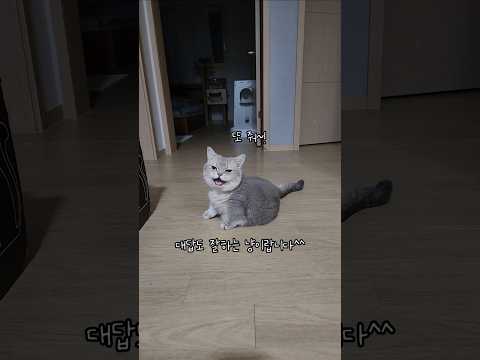 우리 가족의 보물과도 같은 존재