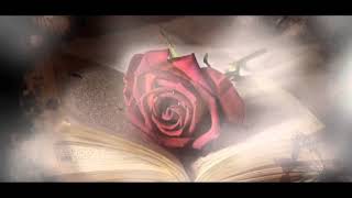 Sophie Zelmani - Memory Loves You lyrics