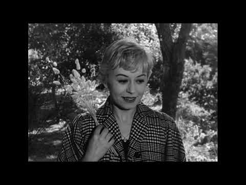 LES NUITS DE CABIRIA - Bande Annonce [VOST]