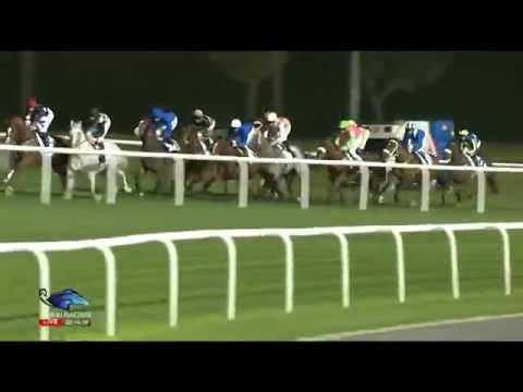 26.02.2015 Meydan (Dubai/UAE) 7.Race Al Naboodah Construction - Handicap 2.000 m