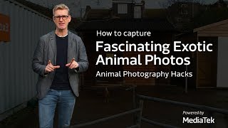 How to Capture Fascinating Exotic Animal Photos | Animal Photography Hacks