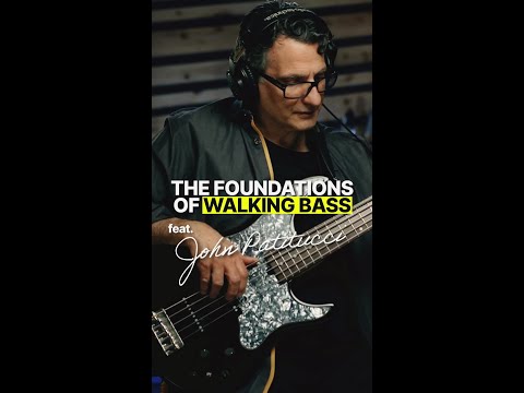 The foundations of Walking Bass feat. John Patitucci 🚶🏻🎸 #scottsbasslessons #sbl #basslesson