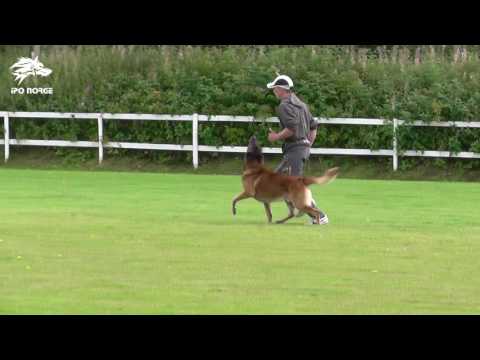 Andreas Volle   Gamle Bryn B