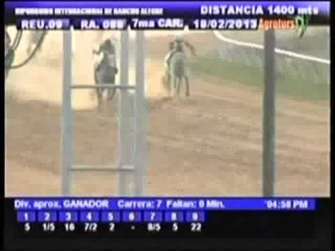 Resumen Lunes, 18 de Febrero de 2013 - Rancho Alegre