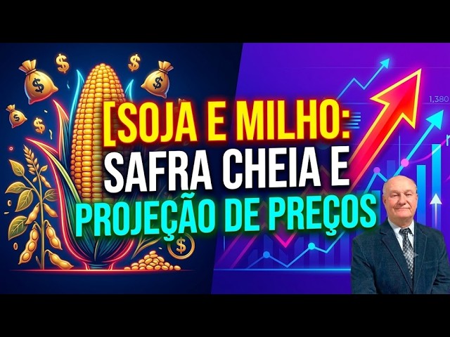 Soja e milho: safra cheia e projeção de preços.
