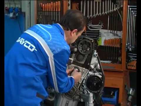 DAYCO Controlling and replacing timing belts and automatic tensioner.