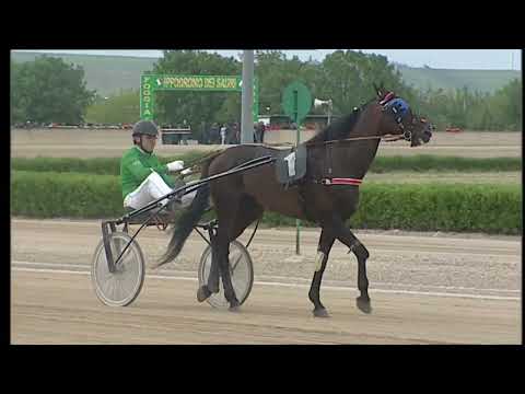 Ippodromo dei Sauri - 1° corsa amatoriale del 5.5.2022