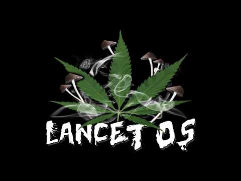 LANCETOS - Obóz Skoncentrowany (NARKORAP 2014)