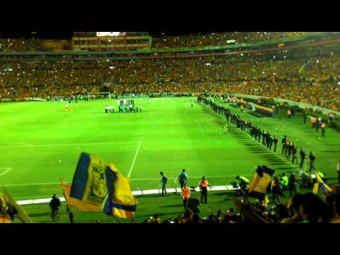 "Tigres vs Inter de Porto Alegre Festejo Mariachi en el Universitario" Barra: Libres y Lokos • Club: Tigres • País: México