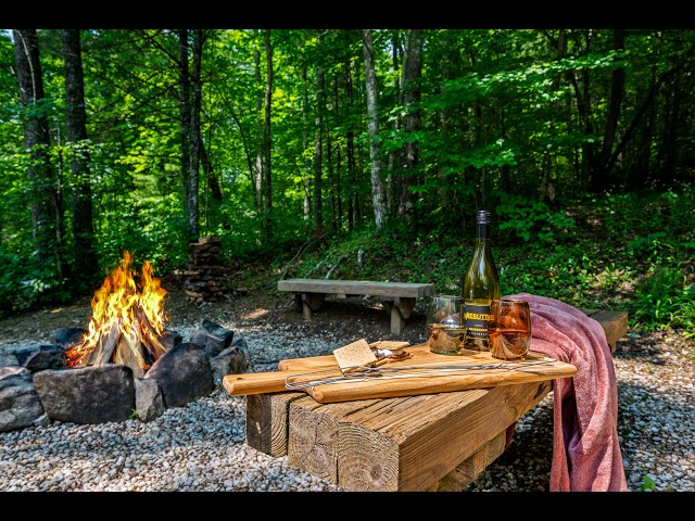 Virtual Tour