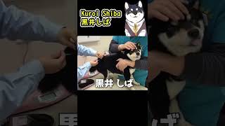 Nijisanji Live-Action 実写版 にじさんじ [笹木咲/Enna Alouette/黒井しば]