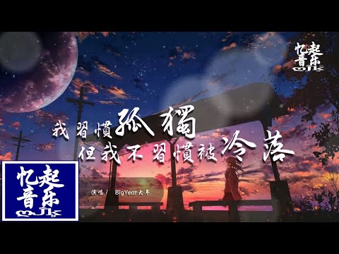 BigYear大年 - 我習慣孤獨但我不習慣被冷落『Why u leave me so lonely，是我還不夠懂你。』【動態歌詞Lyrics】