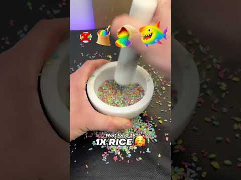 Rainbow Rice Shark Evolution 🥹