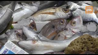 pesca-di-frodo-nel-salernitano-blitz-della-guardia-di-finanza