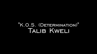 Talib Kweli | K.O.S. (Determination) | Live at the Blind Pig in Ann Arbor
