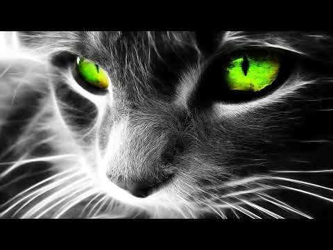 Abduction_21 (Ambient/Downtempo) ....dedicated to my beloved cat