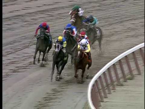 New York Watch: Position Limit