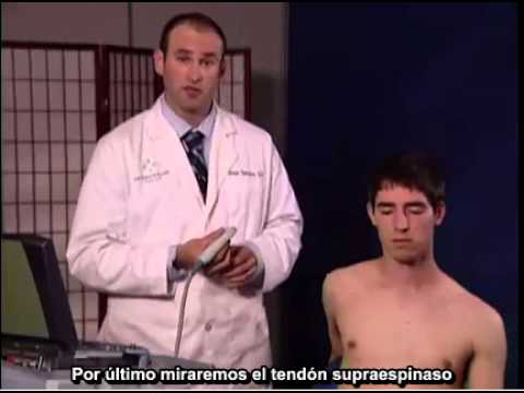 Procedimiento para realizar un examen ecográfico del tendón del supraespinoso