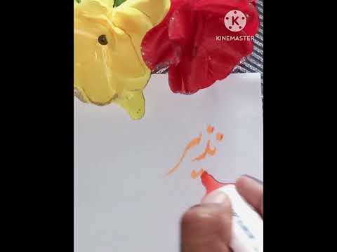 Nazeer Name Whatsapp Status | Nazeer Name Status #shortsfeed #youtubeshorts #shorts