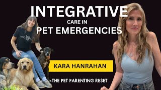 Pet Emergency Mistakes to Avoid and the Integrative Steps That Help with Kara Hanrahan
