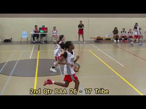 U13-Mädchen-Halbfinale BAA vs. Tribe S3 2025 | 1. November 2025 | #Mädchen #Basketball