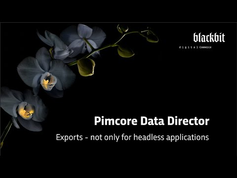 Pimcore Data Director: Exports – Files, REST API Endpoints / Headless Applications