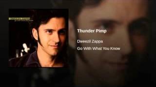 Dweezil Zappa - Thunder Pimp