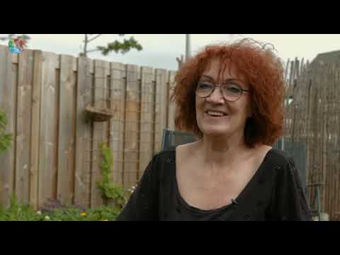 Zonnebloemenactie Dorpsberaden Schelluinen en Giessenburg