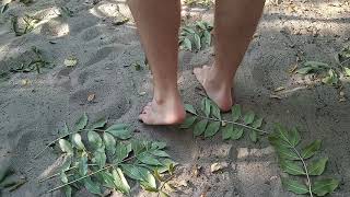 A meglepetések útja  („Én vagyok  az út.” film)