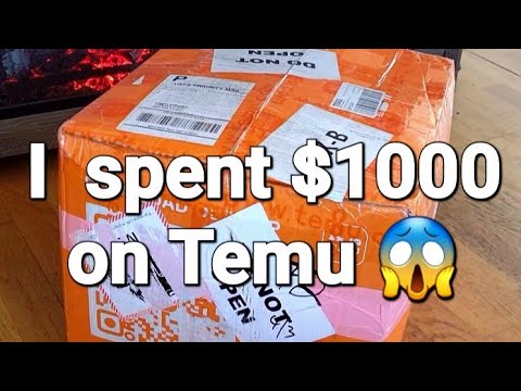 I spent $1000 on Temu, OMG!!!