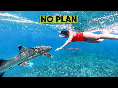 Belize with no plan (it got wild fast)